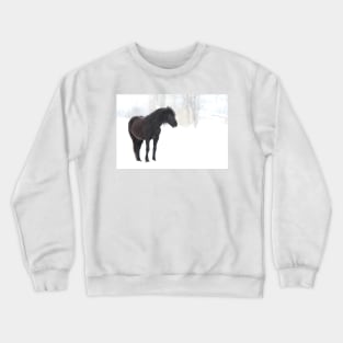 Sleep, perchance to Dream - Horse Crewneck Sweatshirt